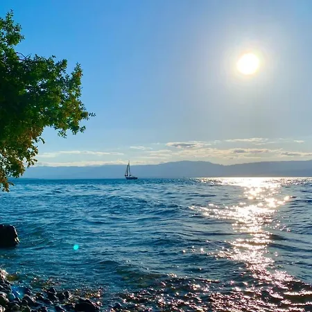 住宿加早餐酒店 Chez Mat 托农莱班