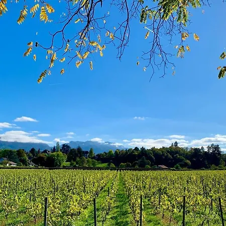 Chez Mat * Thonon-les-Bains