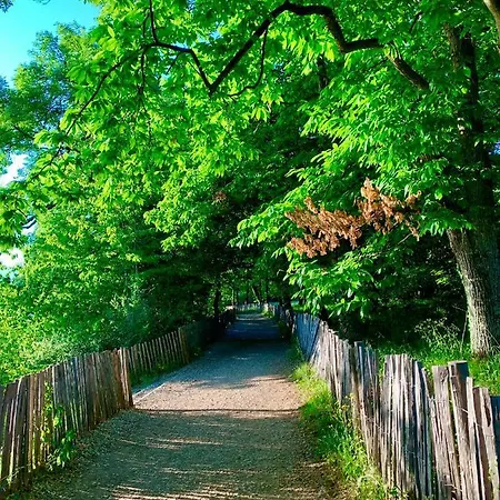 Chez Mat 住宿加早餐酒店 托农莱班